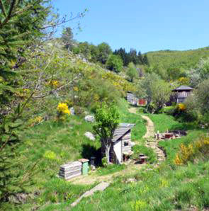 Bivouac Arbor et culture