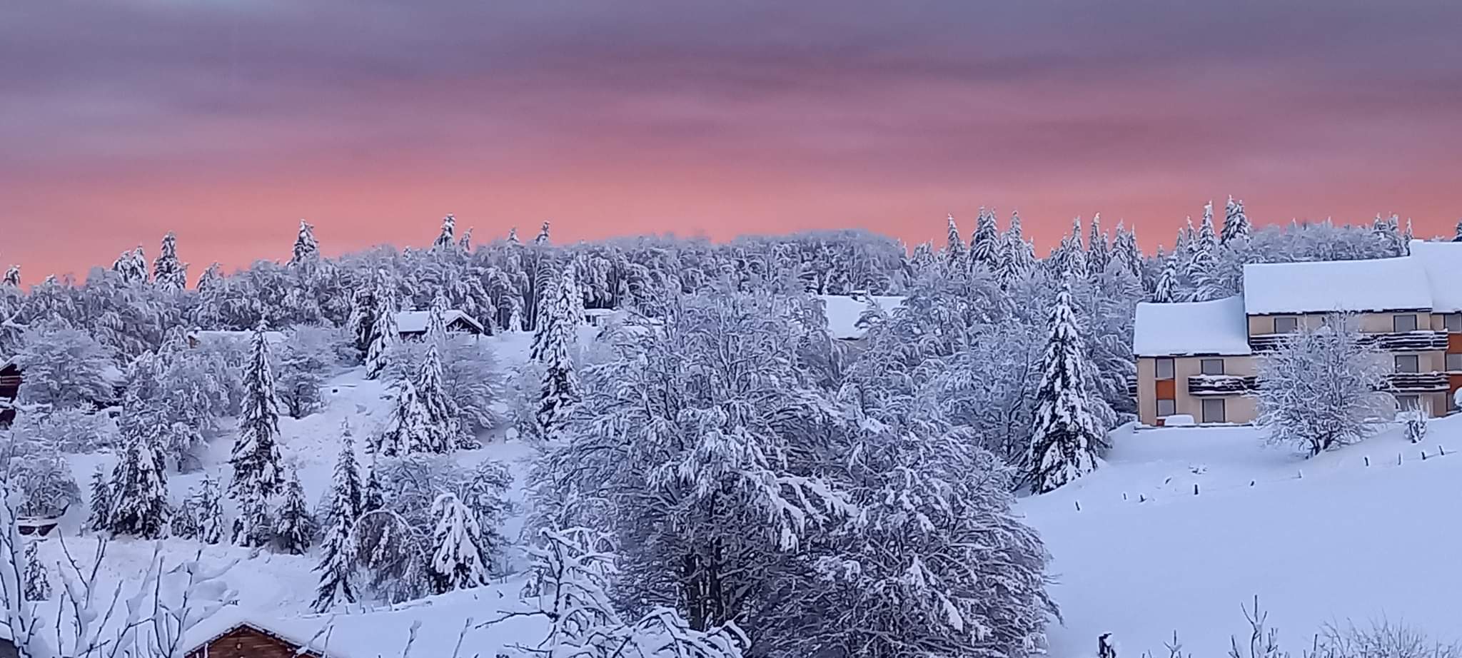 Lire la suite à propos de l’article Le Printemps arrive , Neige sur l’Espérou le 13 mars 2022