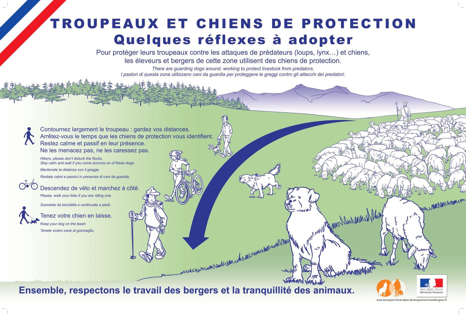 Lire la suite à propos de l’article CHIENS DE PROTECTION